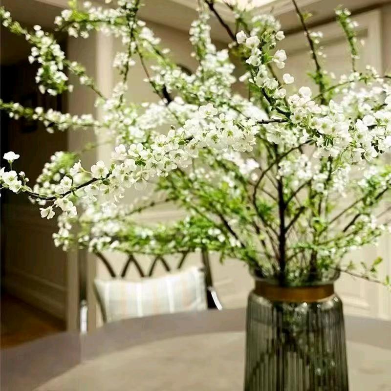 富贵花开花卉养殖