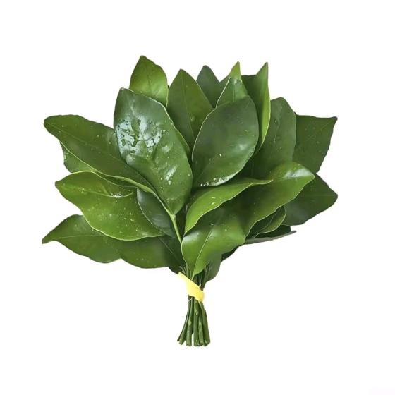 扁桃体永远不发炎