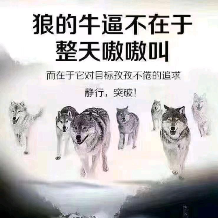 bei方的狼