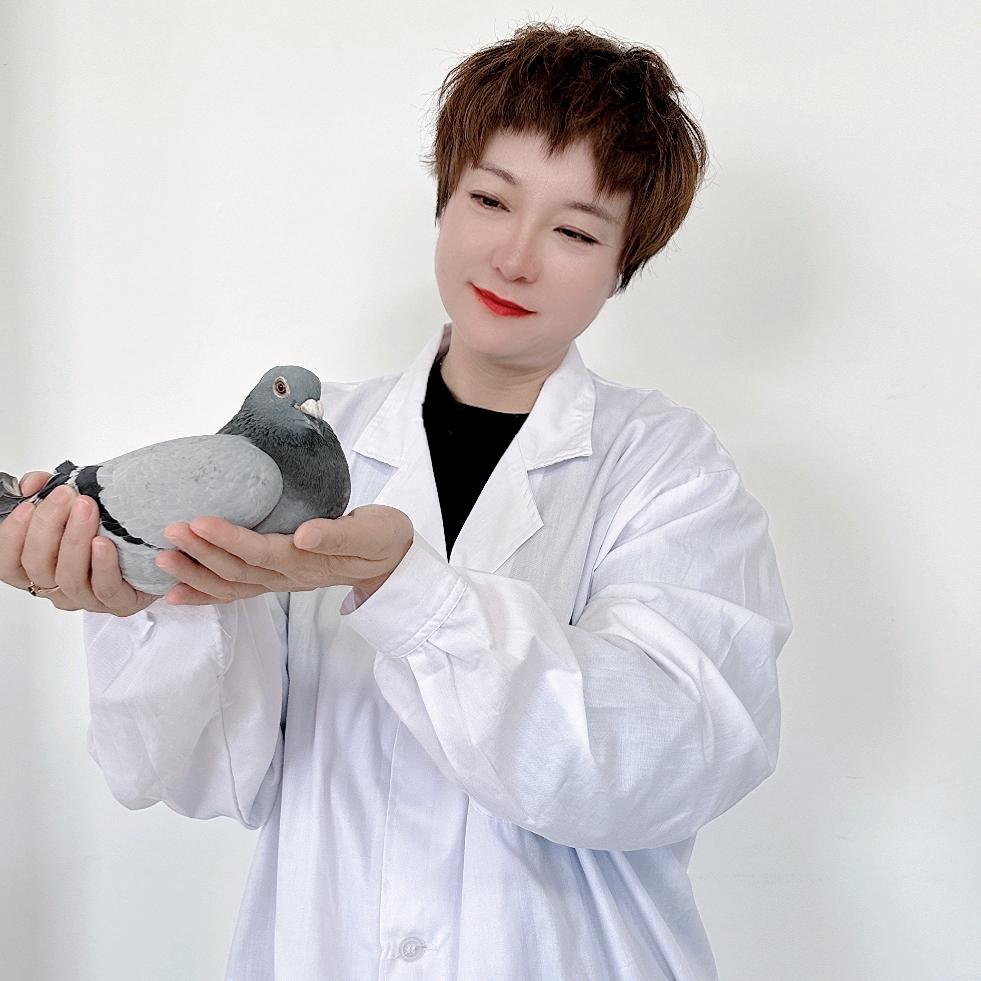 天津赛鸽一姐赛鸽用品有限公司