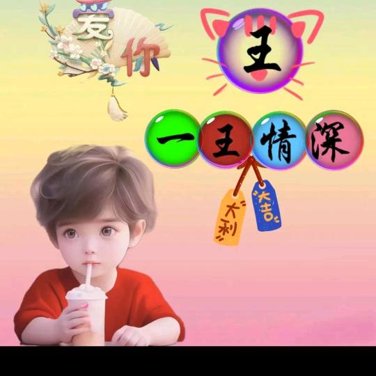王家二公子