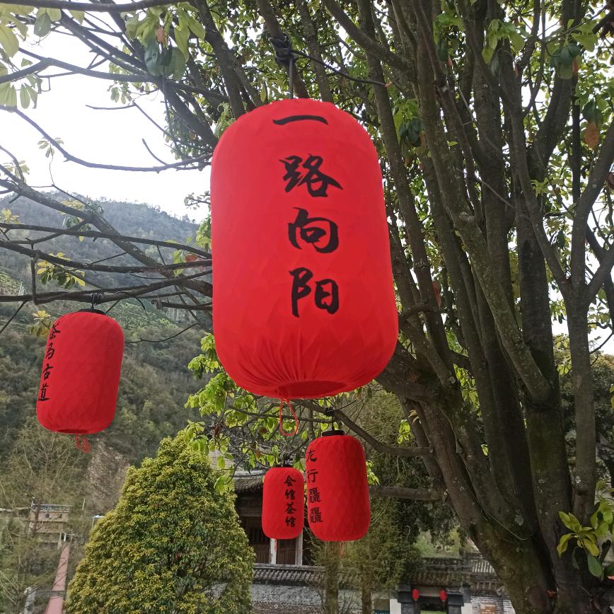狼哥威武