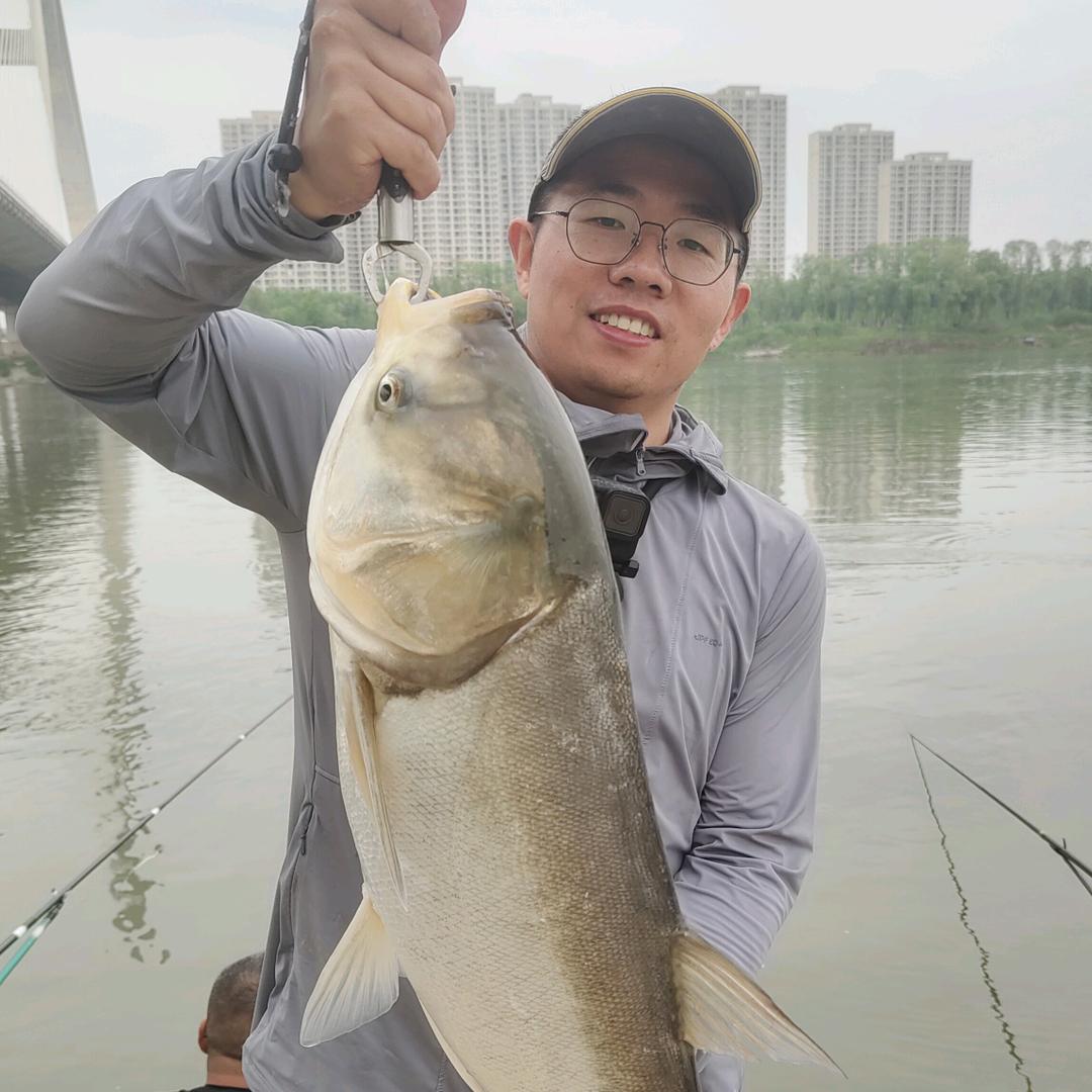鱼口王
