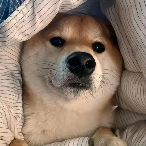 初始⑧