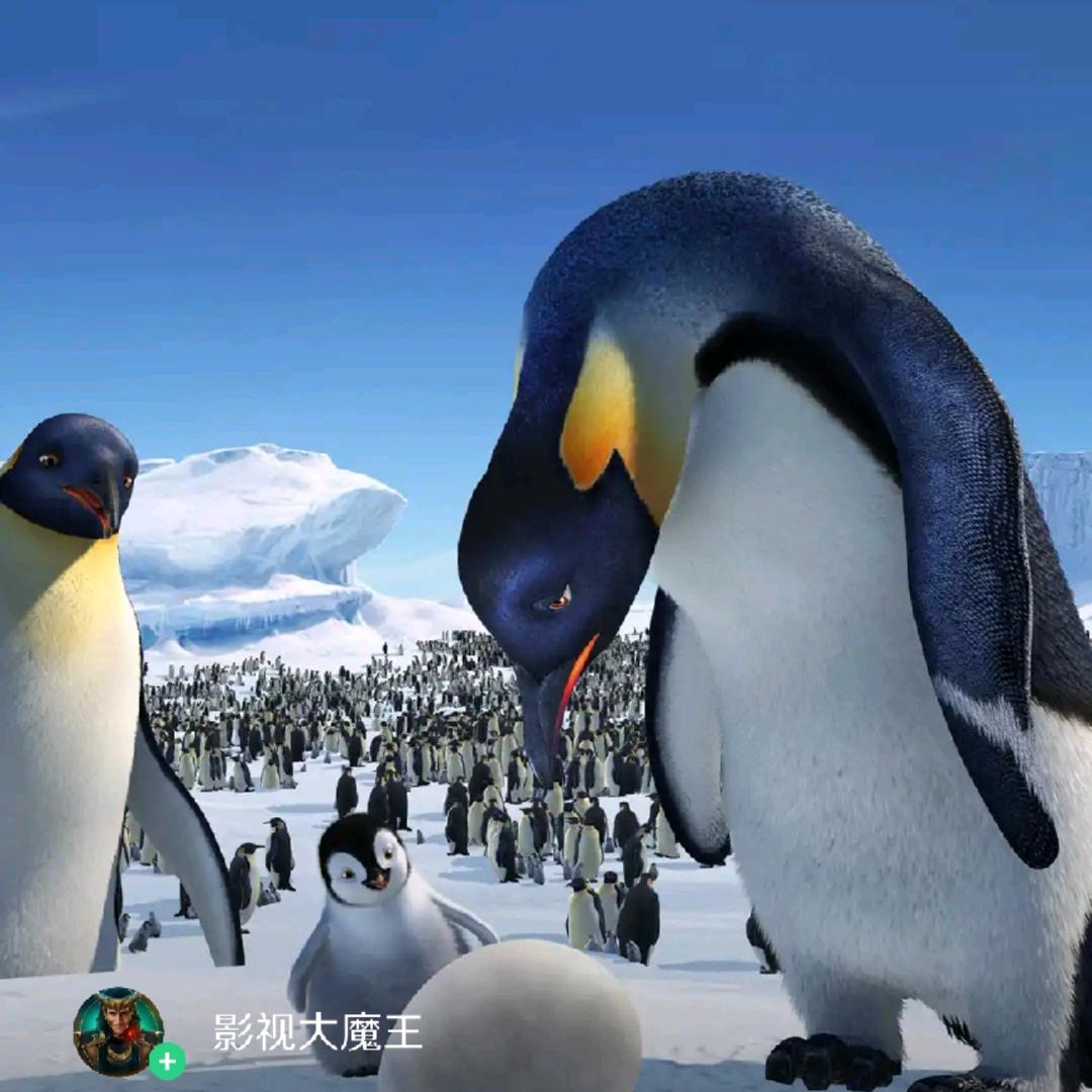 沧海月明