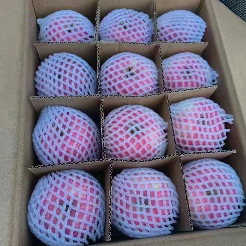 生活百般滋味 🌸  人生需要🤣着面对