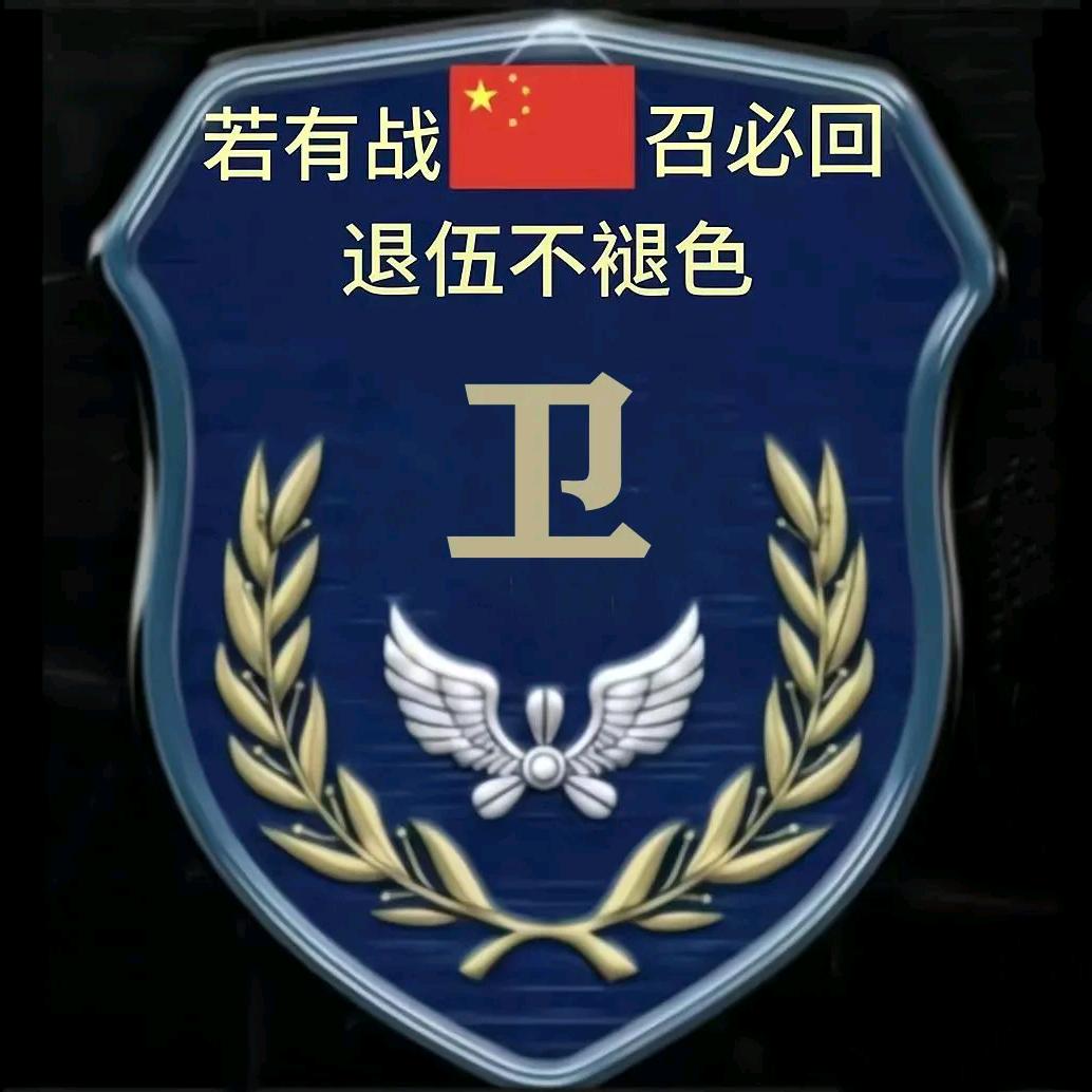 我也曾是一个兵（卫））