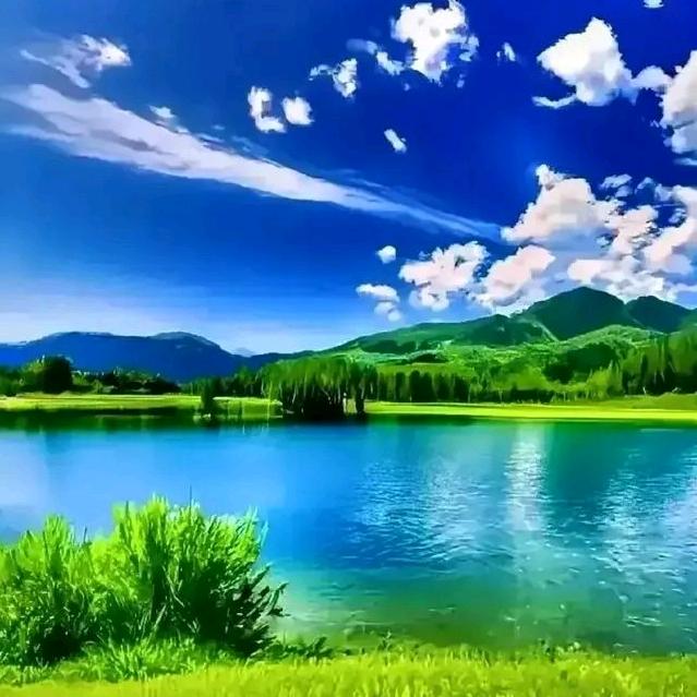 用户名一切随风