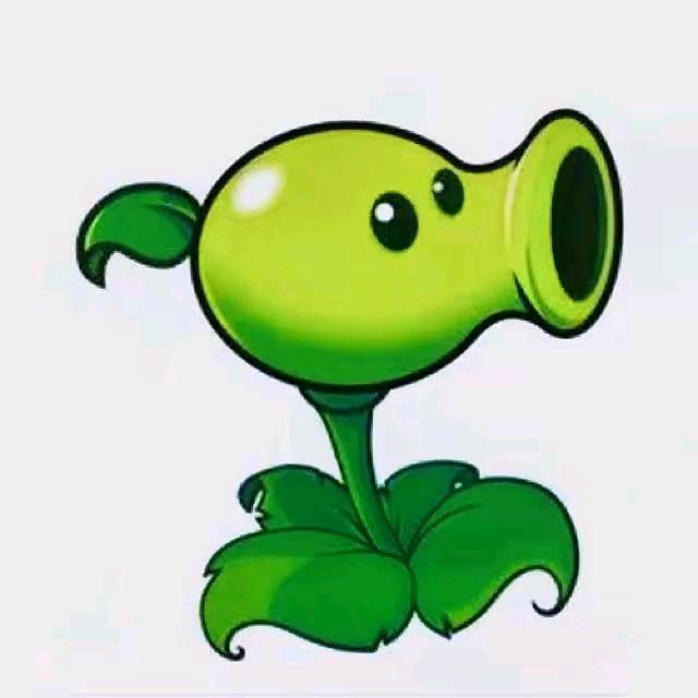 🟢 🟢 🟢 🟢 🟢 🟢🟢