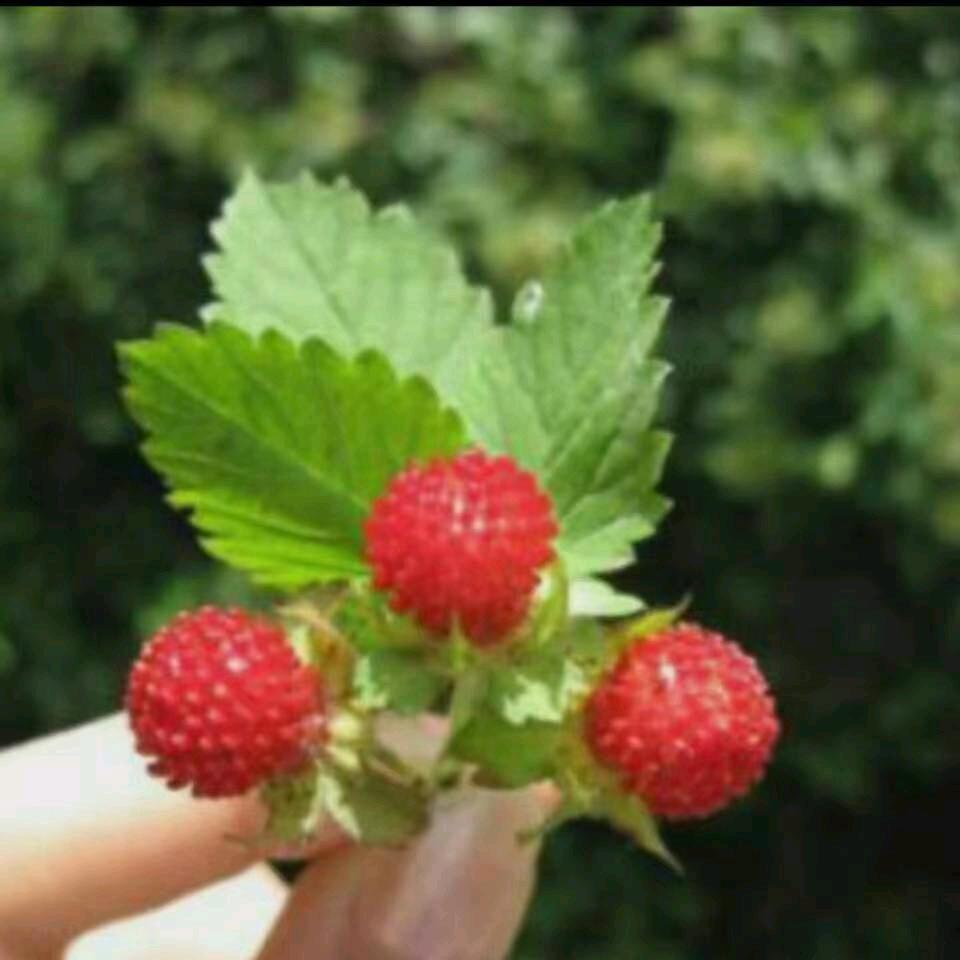 心态好一切都好
