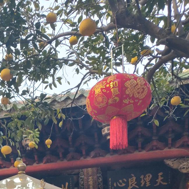 红红火火2