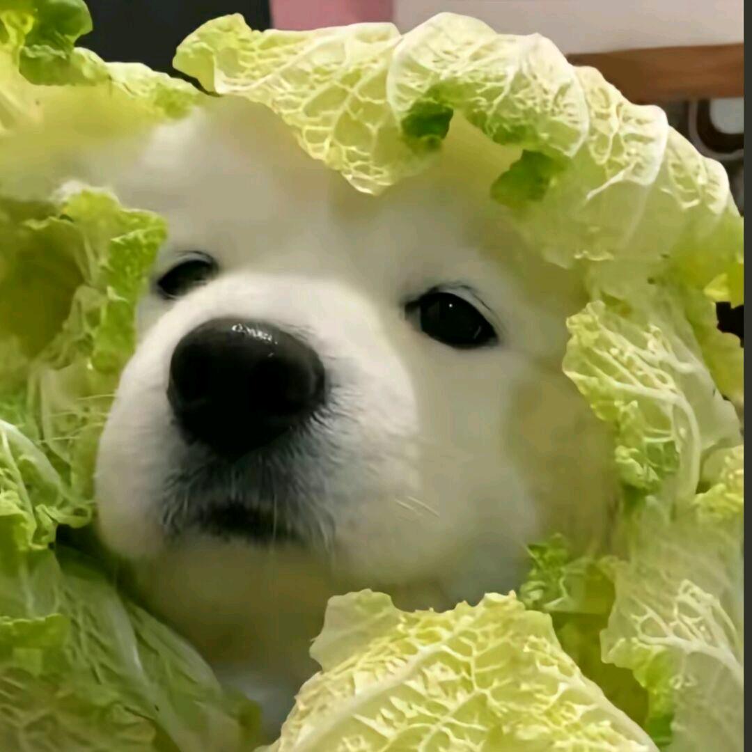 锟