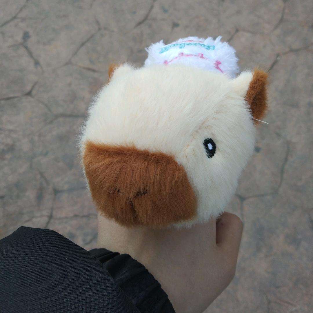 发癫仔