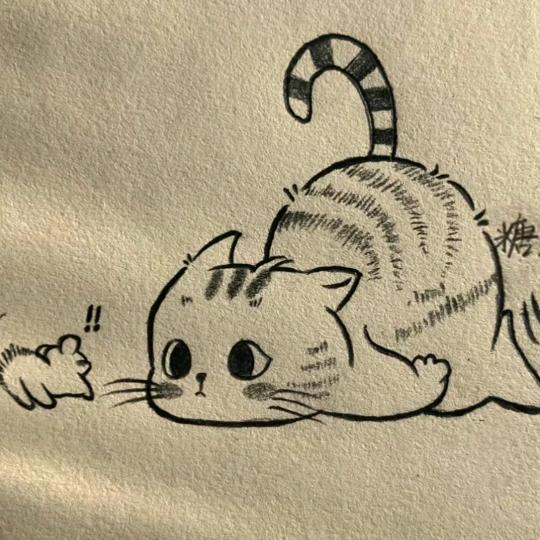 数不完小羔羊