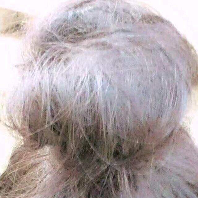 小滚滚