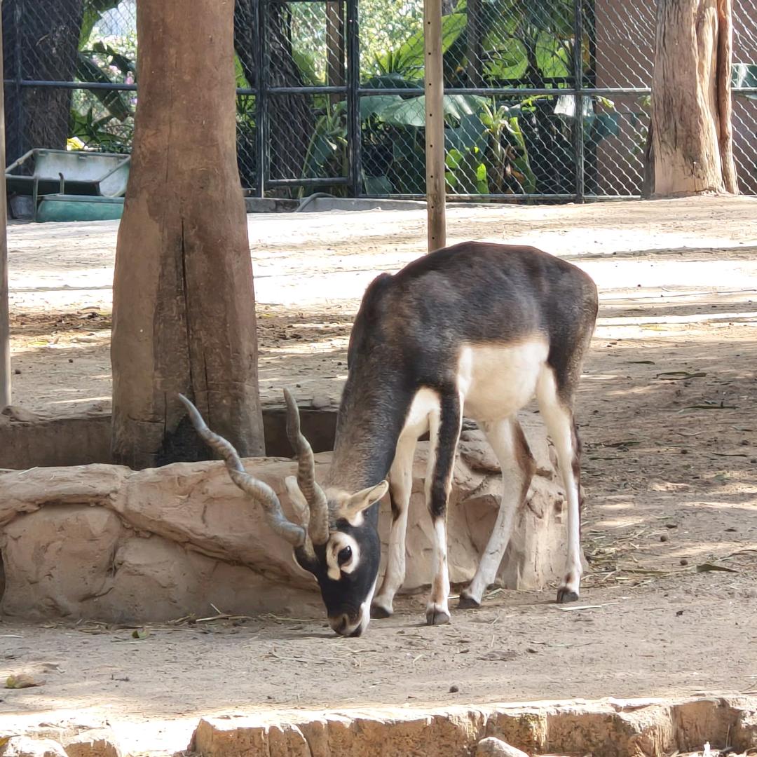 叮叮叮嘭嘭嘭嘭嘭嘭嘭嘭