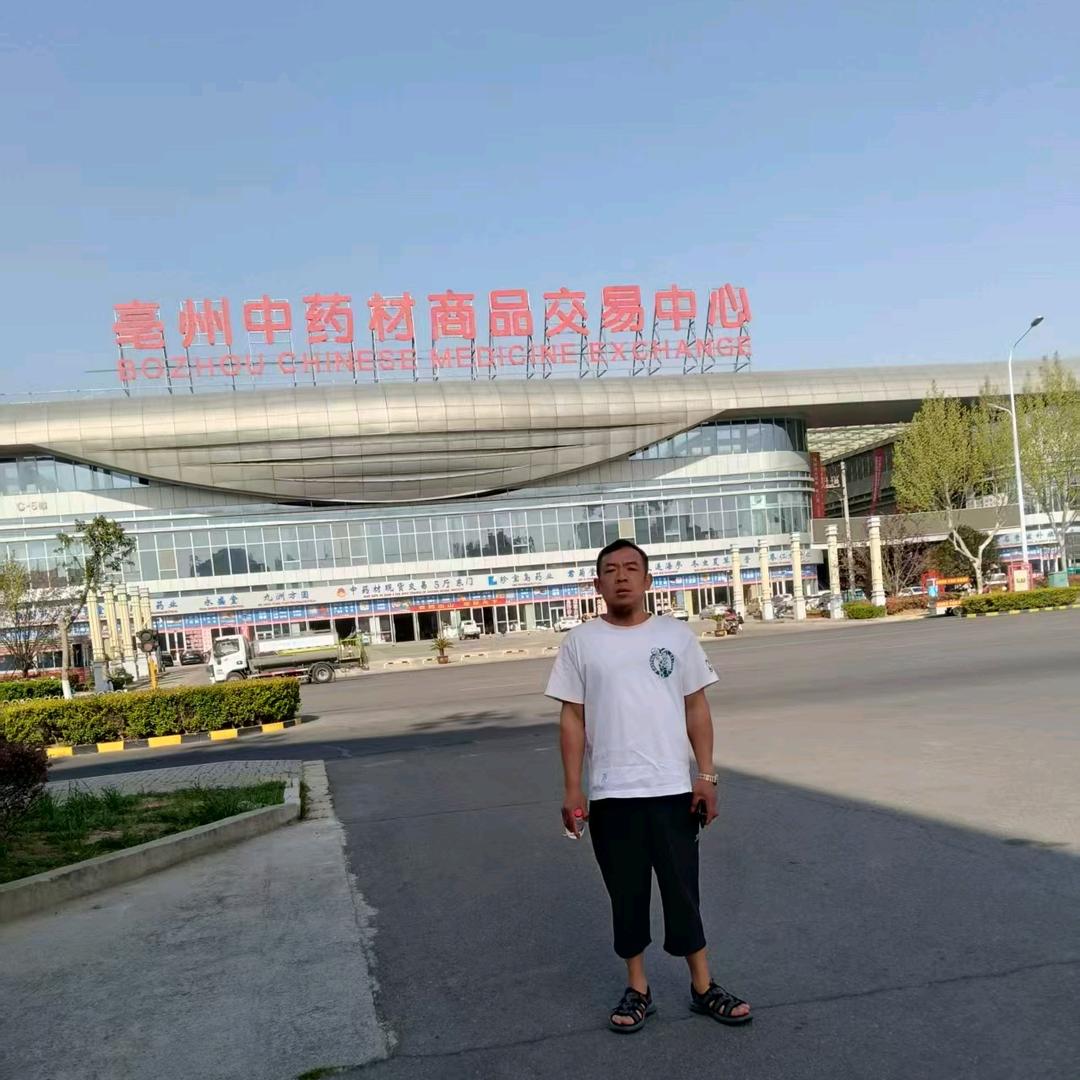 大卫：中药材搬运工