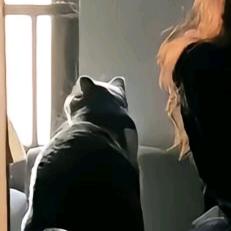 我想静静👻🐾