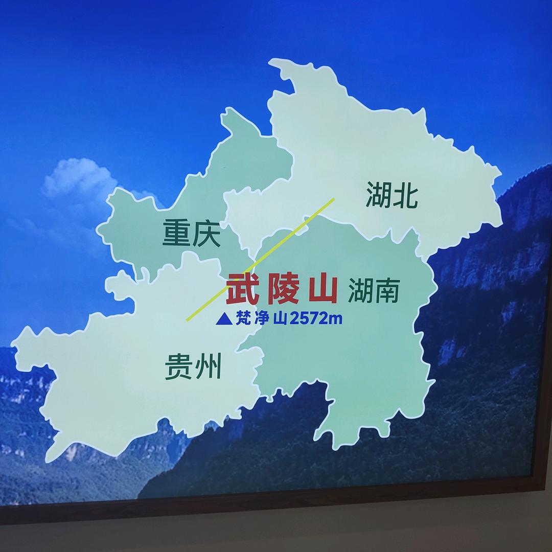 用户52000865566569