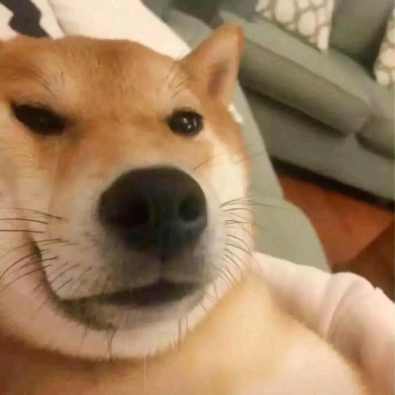 开开心心哼哼唧唧