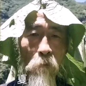 飞翔的汤姆