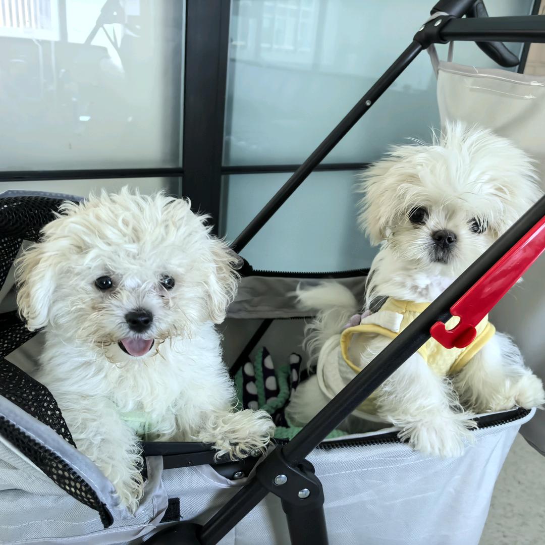 电灯泡和手电筒的快乐时光