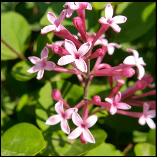 ꧁赵ℒℴѵℯ杨¹³¹⁴꧂