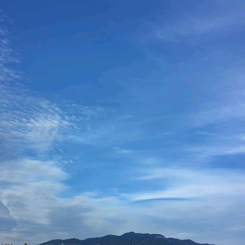 დ