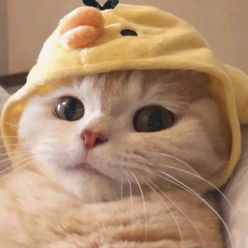 辛德瑞拉辛德拉