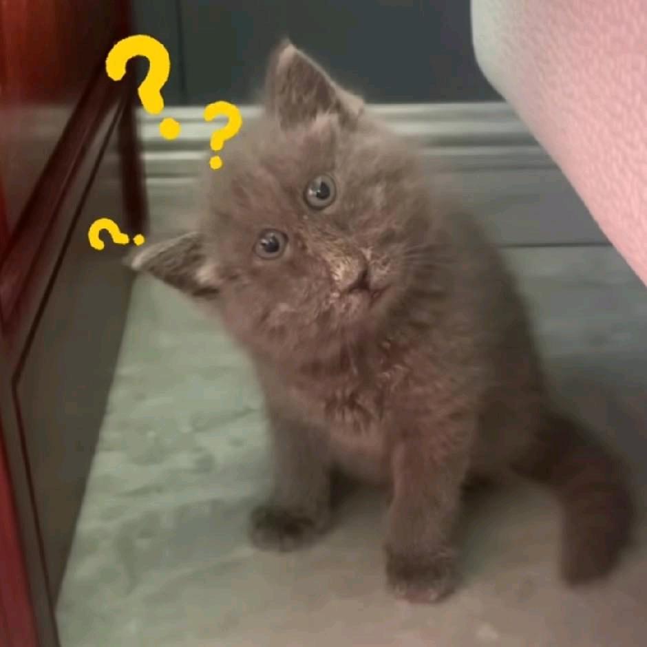 ┅┅┅┅┅┅┅沿此虚线剪开┅┅┅┅┅┅