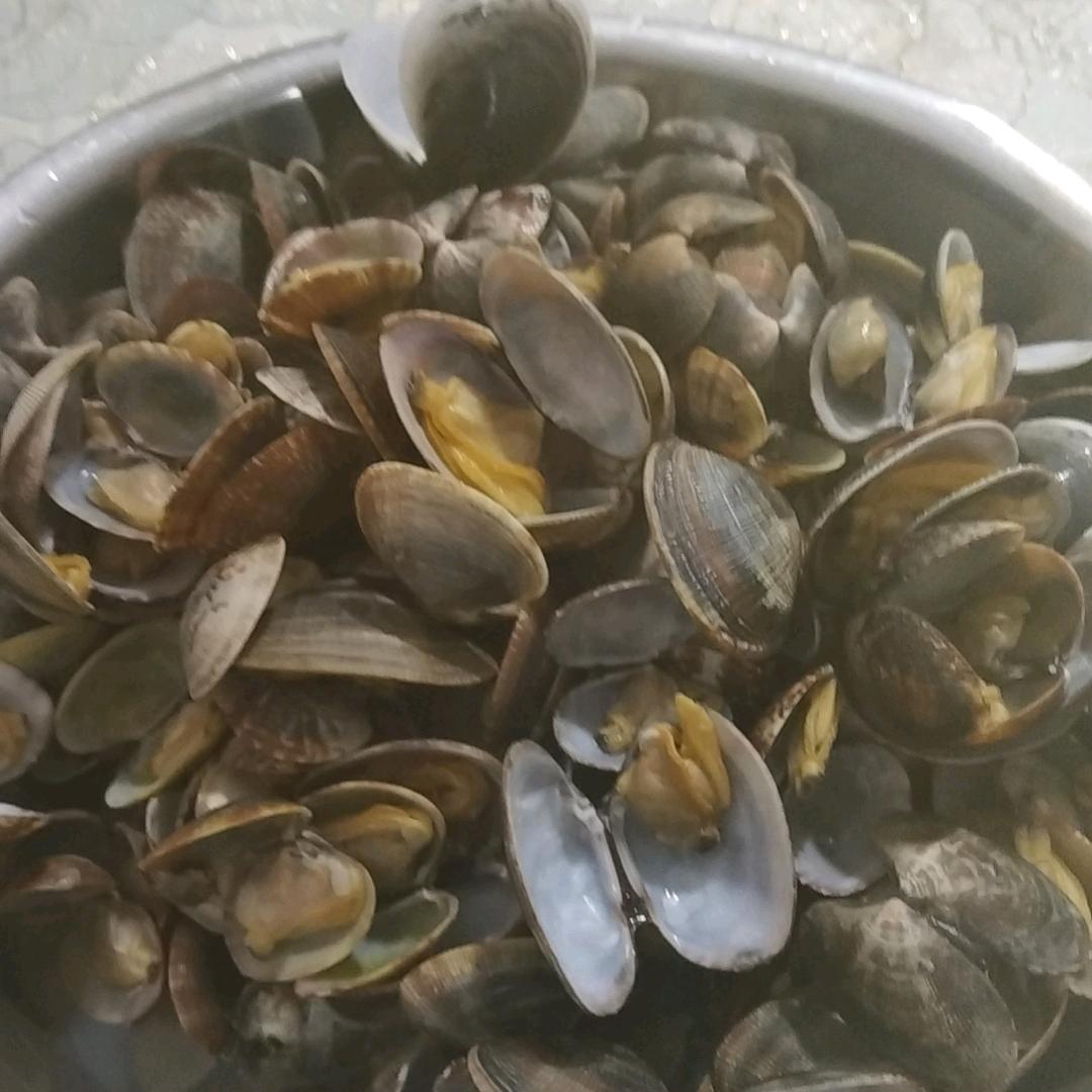 春天里的花