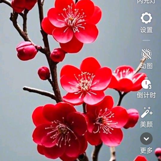 真