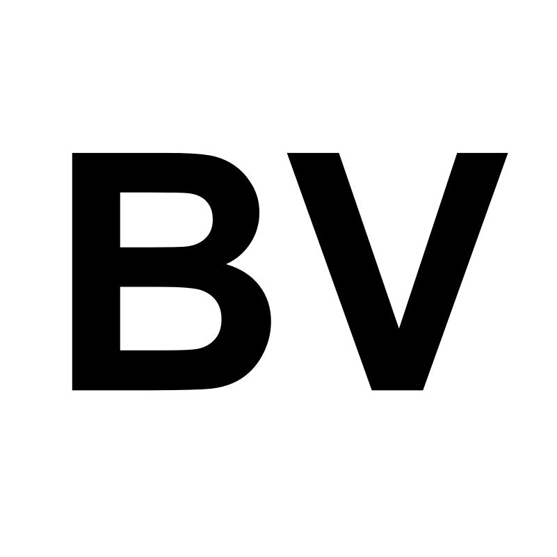 BaiLiVisual