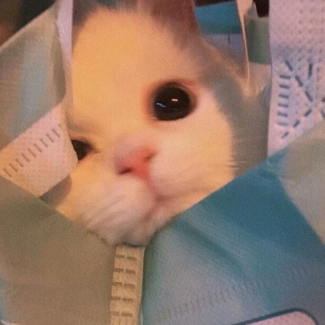 和弦