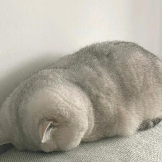 1000ly