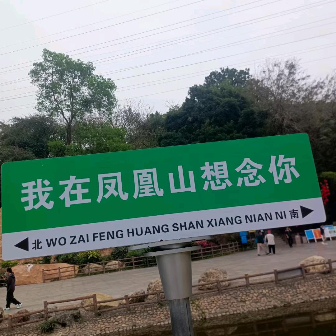 漂泊。