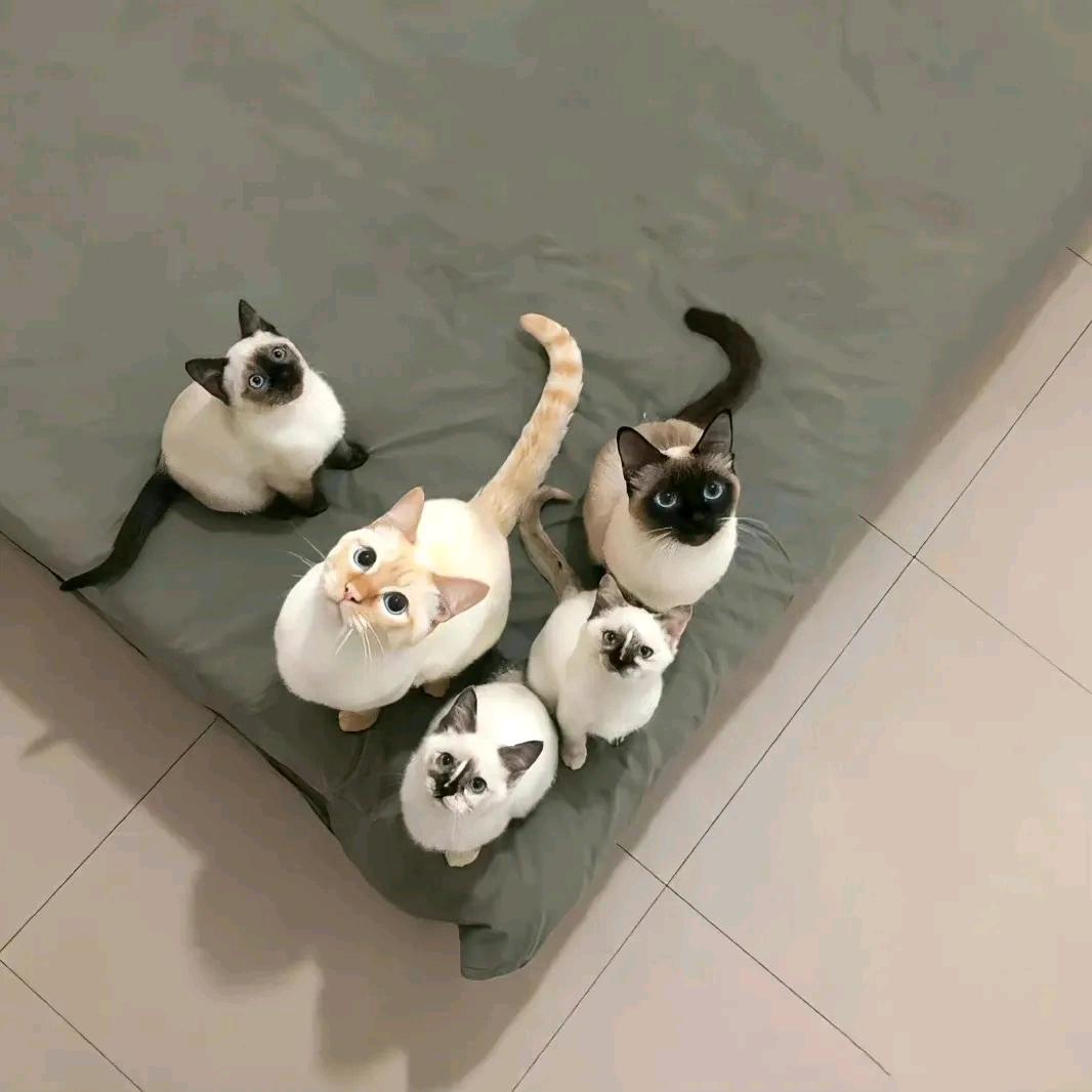时光说笑_