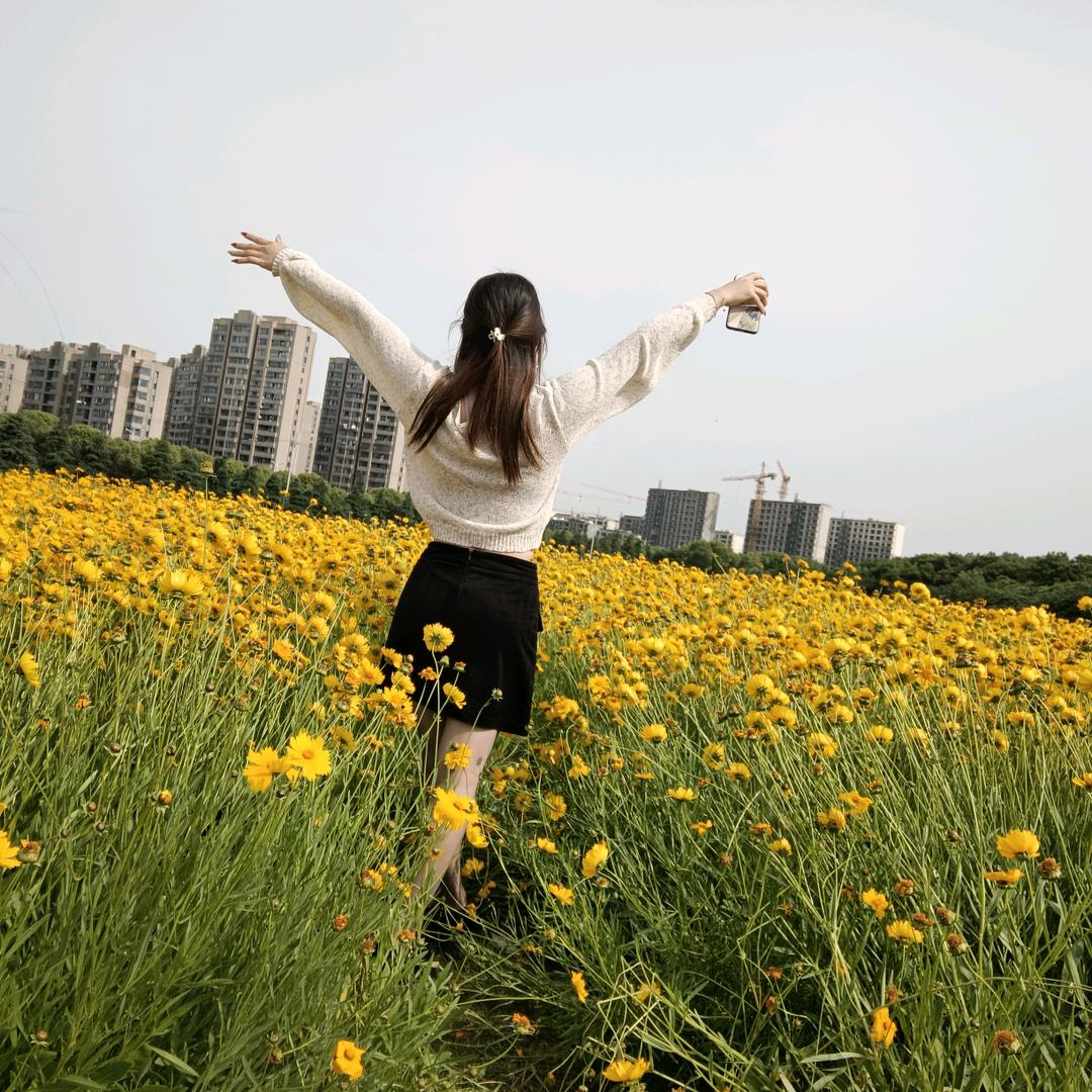 汤圆不圆