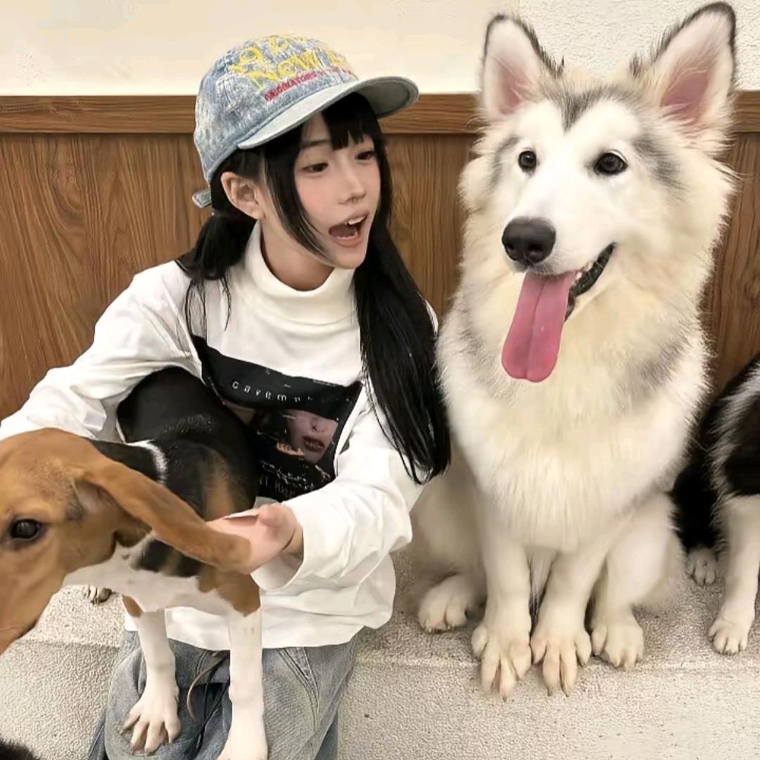 。！