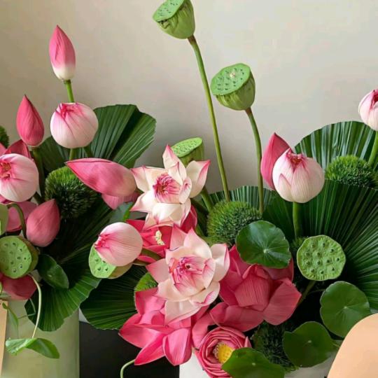 悦楠之家🌸