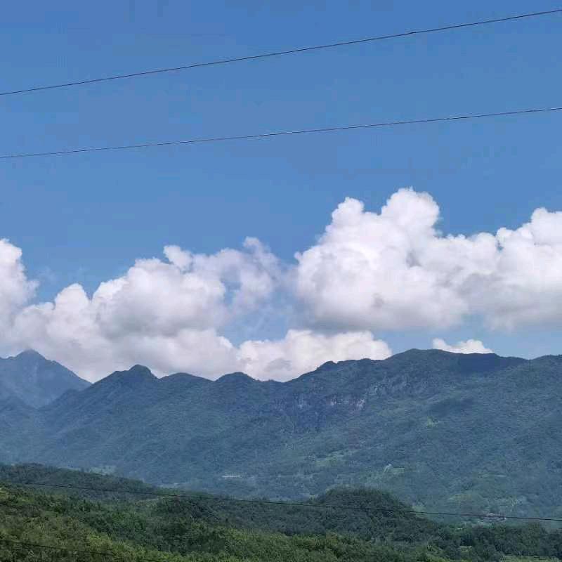 因为遇见你