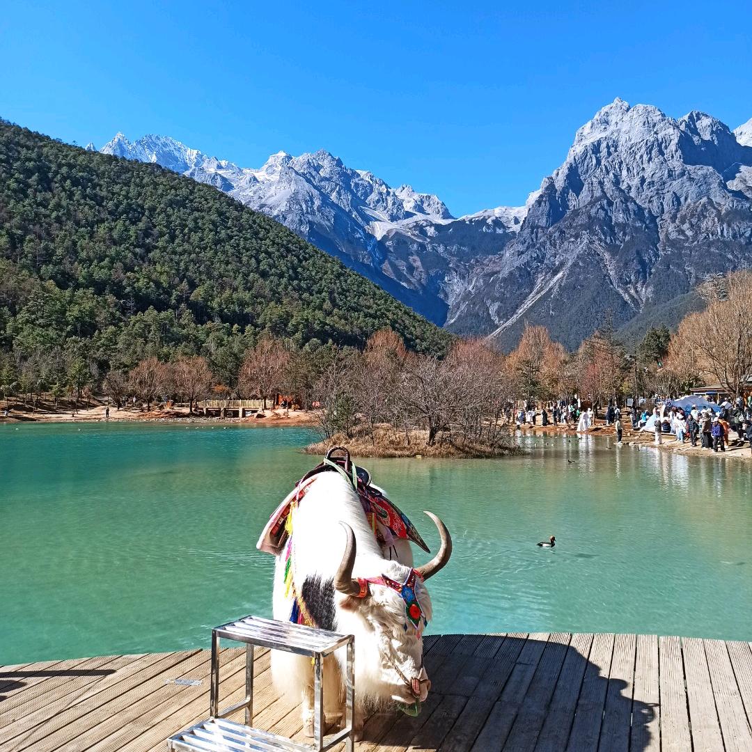 影子 冲击王者百星