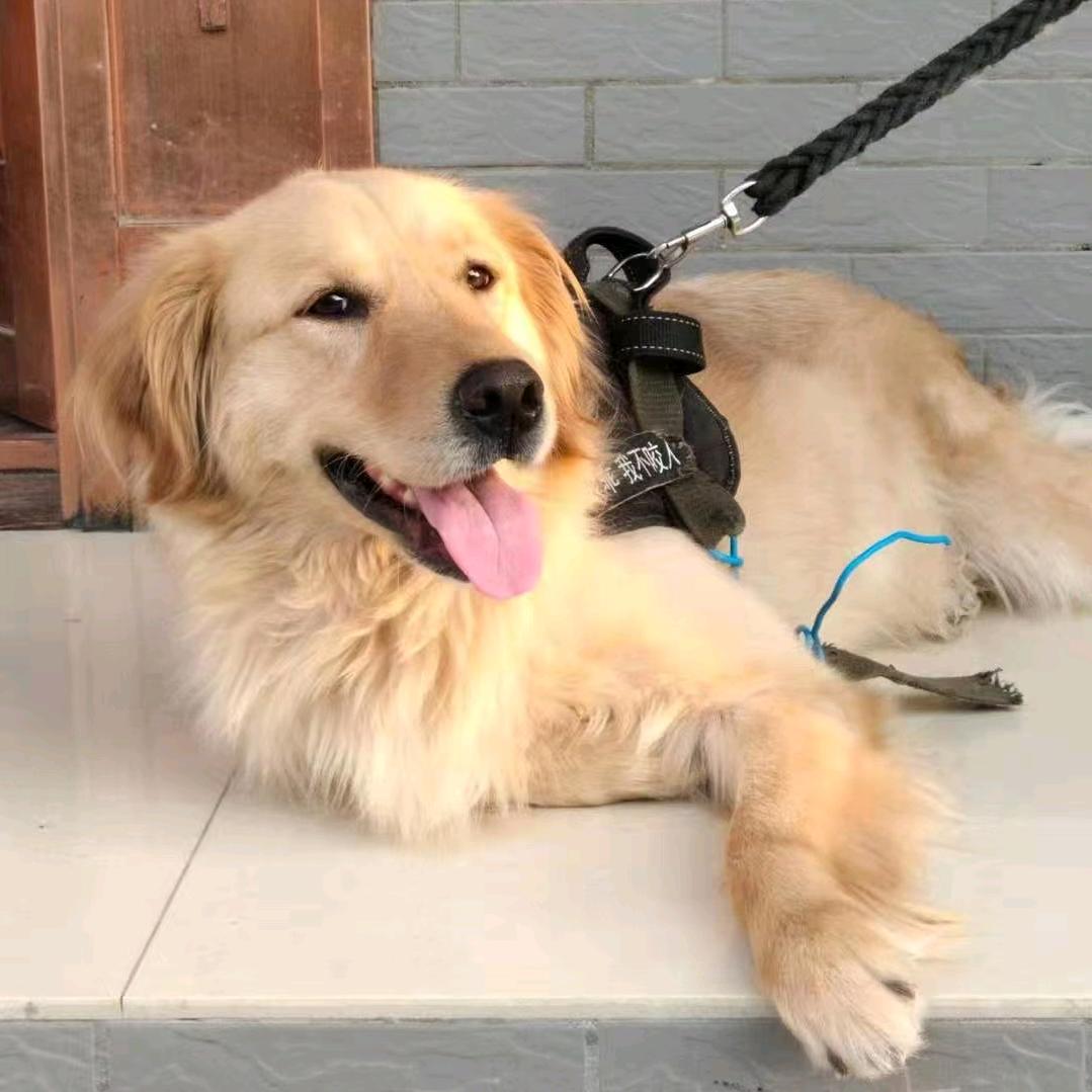 泰州装修找星艺