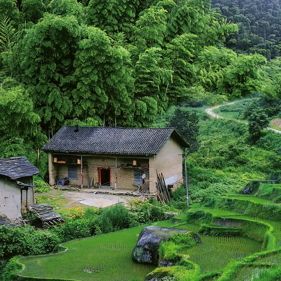 乡村小煜