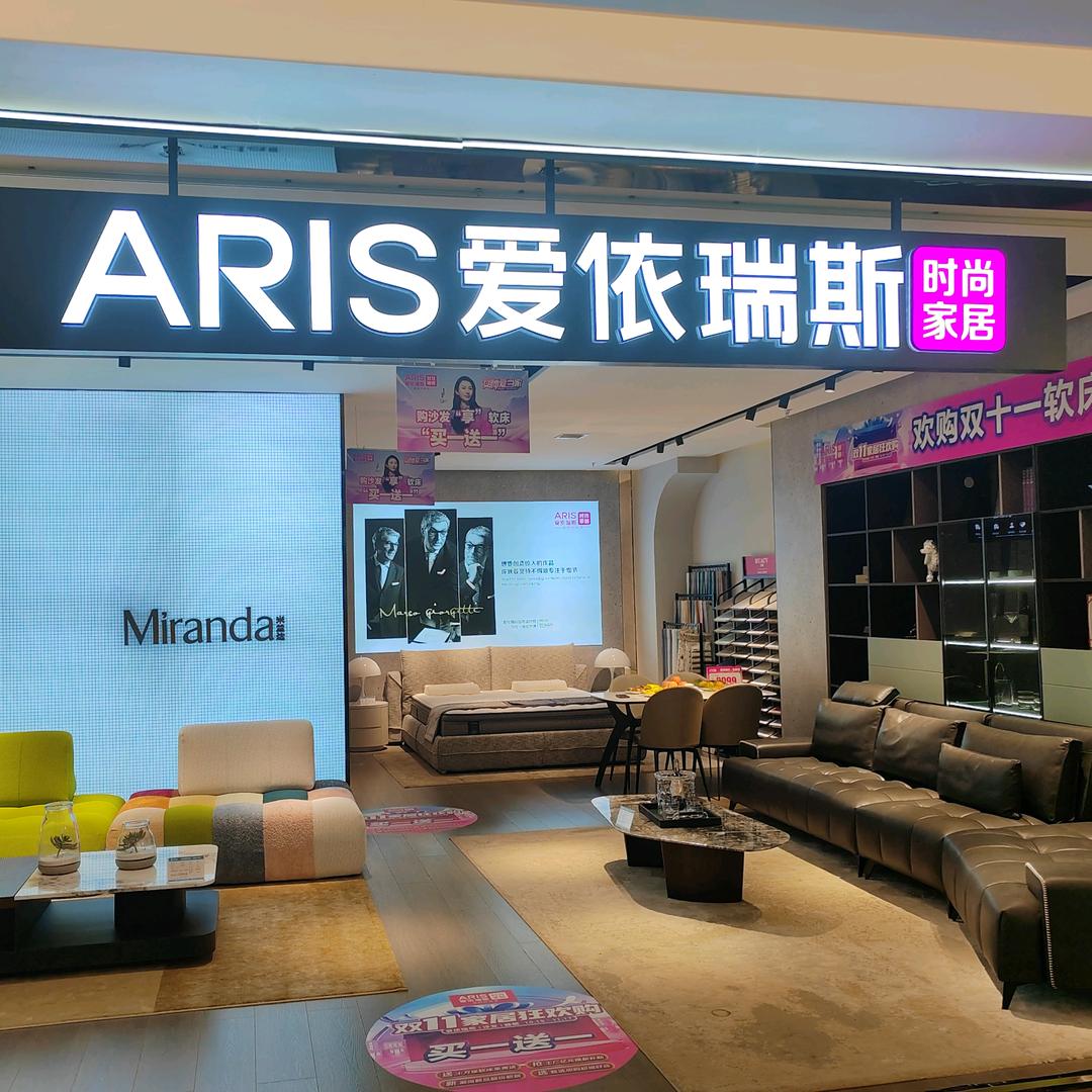 临汾爱依瑞斯沙发软床