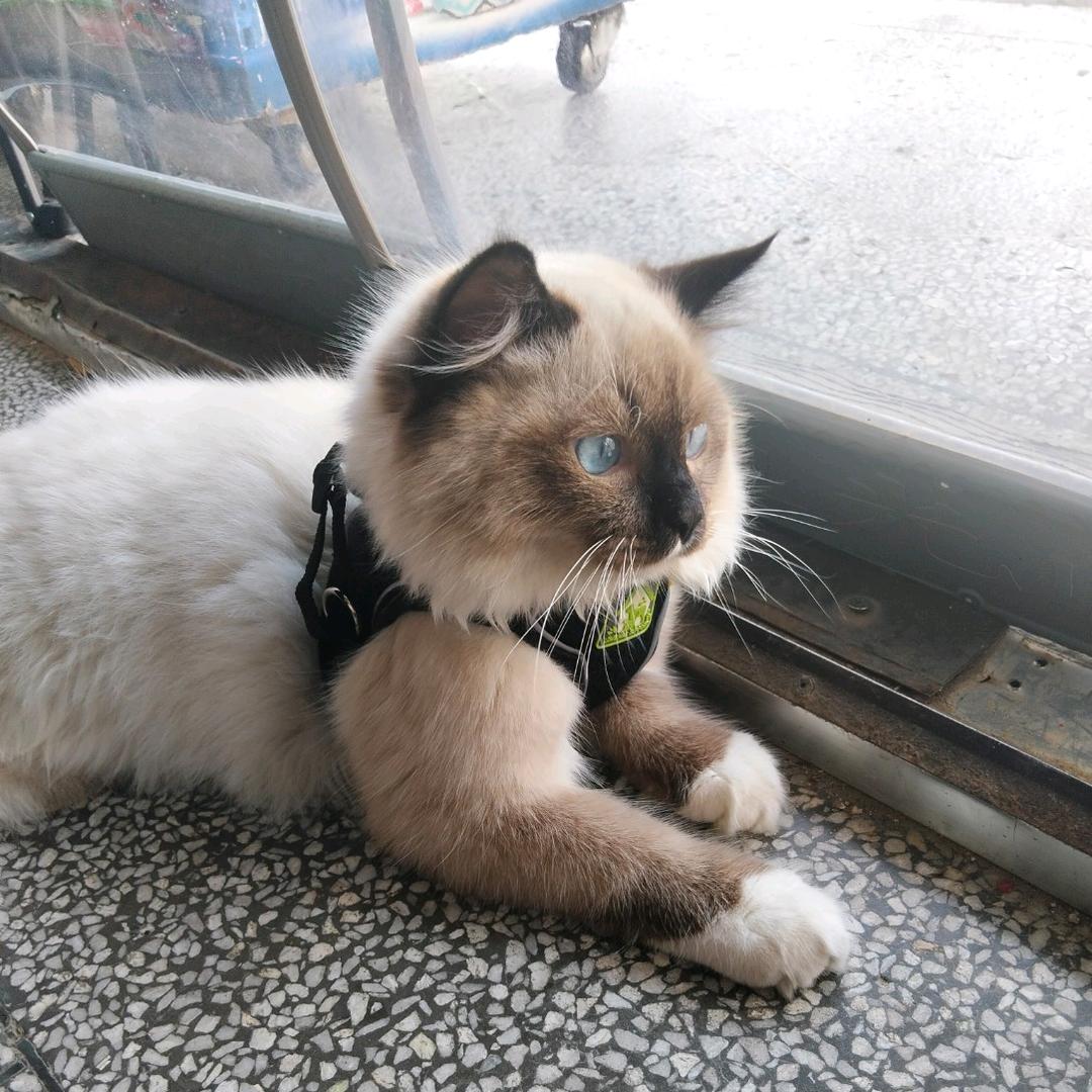 杨家二姑娘👩‍🦰👩‍🦰