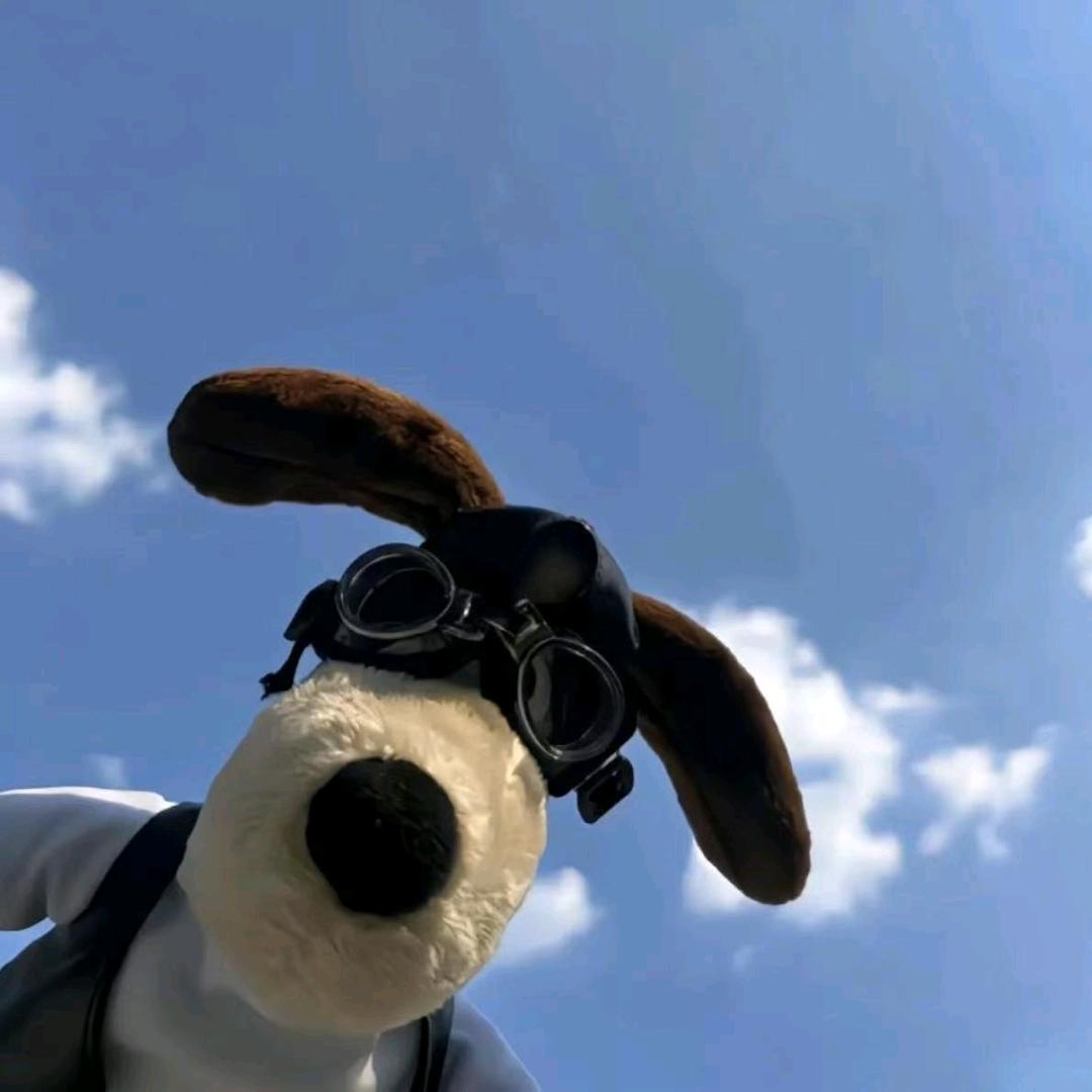 …