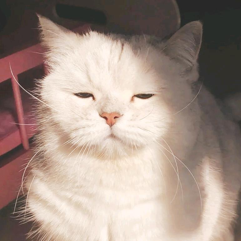 超超大人灬   