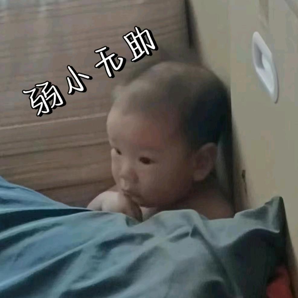 张大嘴家的辰宝