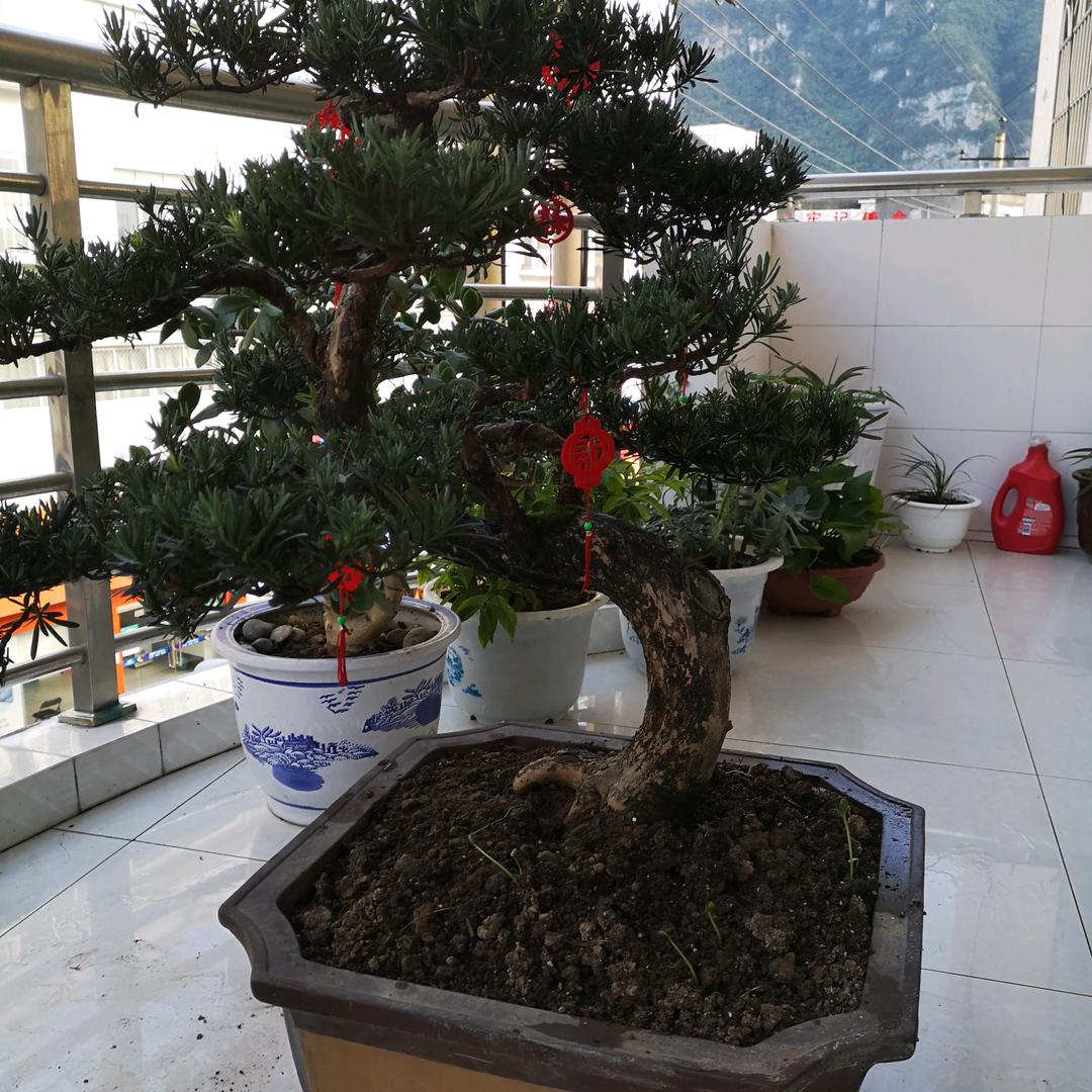 覃好满
